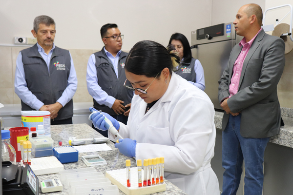 INVESTIFACIÓN DE DIAGNÓSTICO SEROLÓGICO Y MOLECULAR