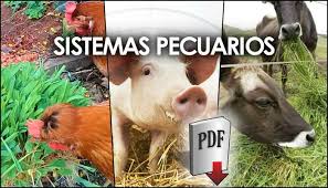 CENTRO EXPERIMENTAL ALONSO TADEO