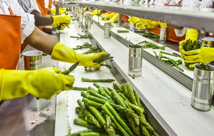 PLANTA PILOTO DE PROCESAMIENTO DE FRUTAS Y HORTALIZAS