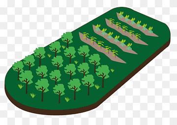 Investigacion agricola